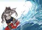  2018 abs anthro biceps canine clothing fur hi_res kemono male mammal muscular nipples outside pecs sea seaside simple_background solo summer surf surfboard surfer swimsuit taki_kaze water wolf 