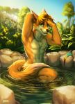  2018 anthro arms_above_head bathing black_nose blue_eyes canine day detailed_background digital_media_(artwork) fox fur lukiri male mammal orange_fur outside partially_submerged smile solo 