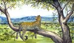  2014 ambiguous_gender anisis day feline feral fur leopard mammal outside paws solo spots spotted_fur traditional_media_(artwork) tree 