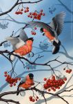  2014 anisis avian beak berry black_beak detailed_background digital_media_(artwork) feral flying food fruit group hybrid standing 