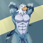  2017 abs abstract_background animal_crossing anthro anthrofied avian beak biped bird black_beak blue_background blue_feathers blue_stripes blue_theme cool_colors countershade_face countershade_torso countershading crotch_tuft digital_drawing_(artwork) digital_media_(artwork) falcon feather_tuft feathers featureless_crotch front_view grey_eyes half-length_portrait hands_behind_head head_tuft hi_res kingmidoragon looking_away male merlin_(bird) multicolored_feathers muscular muscular_male neck_tuft nintendo nude orange_beak outline pecs pierce_(animal_crossing) portrait quads raised_arm simple_background smile solo standing striped_feathers striped_tail stripes tail_feathers triceps tuft two_tone_beak two_tone_feathers video_games white_countershading white_feathers yellow_background 