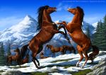  2013 animal_genitalia anisis black_hair brown_fur day detailed_background digital_media_(artwork) equine feral fully_sheathed fur grass group hair horse male mammal outside sheath sky snow standing 