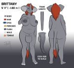  animal_genitalia animal_penis anthro areola balls big_areola big_balls big_breasts blue_eyes breasts dickgirl digital_media_(artwork) elephant english_text flaccid hair huge_breasts intersex inverted_nipples looking_at_viewer mammal model_sheet negativetheory nipples nude open_mouth penis red_hair slightly_chubby solo text trunk voluptuous wide_hips 