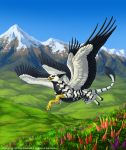  2016 anisis avian beak black_feathers claws day detailed_background digital_media_(artwork) feathers feral flower flying gryphon outside phrixus plant sky solo yellow_beak 