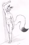  2.doe animal_genitalia animal_penis anthro athletic balls canine canine_penis fluffy fluffy_tail fox fully_sheathed looking_at_viewer male mammal nude penis pose raised_eyebrow seductive sheath slim smile solo standing 