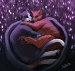  2018 ambiguous_gender brown_eyes cat digital_media_(artwork) duo feline feral mammal paws smile whiskers wolfirry 