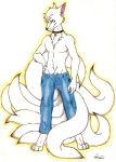  anthro canine clothing collar fox half-closed_eyes jeans male mammal pants solo suggestive unzipped 
