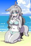  2018 beach bikini blush breasts canine clothing female fluffy fur hair kinshun76501 mammal seaside solo swimsuit 