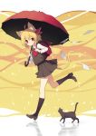  animal_ears neko nekomimi rumia sh tail touhou umbrella 