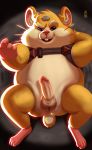  absurd_res balls beckoning belly fur hammond_(overwatch) hamster hi_res humanoid_penis male mammal mayku overwatch overweight overweight_male penis rodent slightly_chubby solo video_games whiskers 