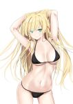  alternate_costume arms_behind_head azur_lane bangs bare_shoulders bikini bikini_day black_bikini blonde_hair blue_eyes braid breasts contrapposto eyebrows_visible_through_hair groin highres kongou_(azur_lane) large_breasts lips long_hair looking_at_viewer navel pose schreibe_shura sidelocks smile solo standing swimsuit thighs twin_braids underboob 