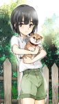  black_eyes black_hair coin_rand collar commentary_request cowboy_shot day dog fence green_shorts highres holding looking_at_viewer looking_up male_focus original outdoors parted_lips puppy shiba_inu short_hair shorts standing thick_eyebrows 