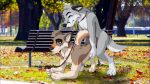  anthro bank canine chaine_redfield cute domination duo exhibitionism eyes_closed from_behind_position happy kemonowolf love male male/male male_penetrating mammal nude outside park public royal-pain-in-the-ass sex together tree walking 