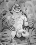  2018 abs anthro barazoku blue_eyes erection feline foreskin hanukami lin_hu looking_at_viewer male mammal monochrome muscular nekojishi penis pubes signature sitting smile solo spread_legs spreading tiger 