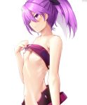  absurdres aisha_(elsword) arm_at_side bare_shoulders blush breasts commentary dobunezumi elsword from_side hair_between_eyes highres lifted_by_self medium_hair navel nipples profile purple_eyes purple_hair shirt_lift simple_background small_breasts solo strapless tubetop twintails void_princess_(elsword) white_background 