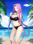  blue_sky braid breasts cloud day fate/grand_order fate/stay_night fate_(series) forehead hair_intakes large_breasts long_hair minami_koyogi ocean outdoors palm_tree purple_eyes purple_hair rider single_braid sky solo standing tree very_long_hair 