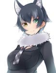  alternate_hair_length alternate_hairstyle amai_nekuta animal_ears bangs black_shirt brown_eyes closed_mouth collared_shirt commentary_request eyebrows_visible_through_hair fur_collar green_eyes grey_hair grey_wolf_(kemono_friends) heterochromia kemono_friends long_sleeves looking_at_viewer necktie plaid_neckwear shirt short_hair simple_background smile solo upper_body white_background wolf_ears 