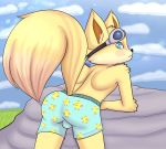  absurd_res anthro boxers_(clothing) bulge canine clothed clothing cloud cub damian5320 fennec fox fur hi_res male mammal paladins pip_(paladins) rear_view rock simple_background sky solo topless underwear yellow_fur young 