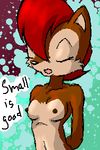  archie_comics kenfoxx sally_acorn sonic_team tagme 