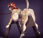  2018 anthro anus ball_gag big_breasts body_writing bound breasts butt cheetah cum cum_everywhere cum_in_ass cum_in_hair cum_inside cum_on_back cum_on_breasts cum_on_butt cum_on_face elisedae feline female fur gag green_eyes hair leash mammal messy nipple_piercing nipples piercing plankboy pussy raised_tail solo spots spotted_fur 