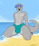 abs anthro beach bulge clothing hat kneeling looking_at_viewer male mammal mustelid otter outside seaside seibear smile solo underwear 