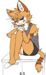  anthro aronhilistix clothed clothing eyes_closed feline fur hair male mammal simple_background sitting slippers solo 