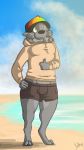  anthro beach bulge canine clothing digital_media_(artwork) green_eyes hand_on_hip hat hehky hehky_(character) male mammal sea seaside smile solo sweater thumbs_up water wolf 