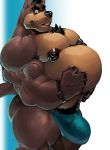  anthro belly big_belly big_bulge bulge canine clothing cursedmarked hyper hyper_belly looking_at_viewer male mammal musclegut muscular muscular_male nipple_piercing nipples pecs piercing pubes solo standing tongue tongue_out underwear 