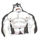  2018 abs anthro blush canine digital_media_(artwork) fur hi_res kemono male mammal muscular muscular_male nipples pecs snot solo syukapong tears 