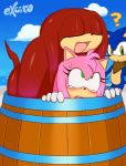 ambiguous_penetration amy_rose anthro bandanna barrel beach blush echidna excito eyes_closed female hedgehog knuckles_the_echidna male male/female mammal monotreme mostly_nude nude oblivious penetration seaside sex size_difference sonic_(series) sonic_the_hedgehog stealth_sex wide_eyed 