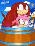  amy_rose anthro bandanna barrel beach big_penis blush echidna excito female hedgehog huge_penis humanoid_penis imminent_sex knuckles_the_echidna male male/female mammal monotreme mostly_nude nude penis seaside size_difference sonic_(series) sonic_the_hedgehog wide_eyed 