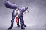  anchee animal_genitalia animal_penis anus balls canine canine_penis feral looking_back male mammal penis presenting raised_tail rear_view simple_background solo wolf 