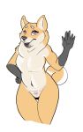  2018 anthro belly canine digital_drawing_(artwork) digital_media_(artwork) dog female fur grace_(character) hi_res looking_at_viewer mammal model_sheet no_9_(artist) nude open_mouth pink_belly pink_eyes shiba_inu smile solo standing 