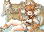  afterimage animal_ears blush collared_shirt commentary_request dog dog_(kemono_friends) dog_ears elbow_gloves eyebrows_visible_through_hair fang fur_trim gloves harness kemono_friends light_brown_hair multicolored_hair necktie open_mouth shirt shoes short_hair short_sleeves shorts sitting sneakers socks tail_wagging tikano white_hair 