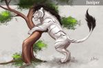  2017 anatomically_correct anchee anus black_fur black_stripes butt feline female feral fur hi_res mammal plant pussy solo stripes tiger tree white_fur white_tiger 