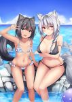  :d animal_ears arm_support arm_up bangs bare_arms bare_shoulders bikini black_bikini black_hair blue_bikini blue_sky blush braid breasts brown_eyes cleavage closed_mouth cloud collarbone day eyebrows_visible_through_hair green_eyes hair_between_eyes halter_top halterneck head_tilt highres horizon irohasu large_breasts long_hair looking_at_viewer md5_mismatch multiple_girls navel o-ring o-ring_bikini o-ring_bottom ocean open_mouth original outdoors side_braid silver_hair single_braid sitting sky small_breasts smile soaking_feet swimsuit tail v water wet 