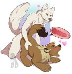 &lt;3 amber_eyes animal_genitalia animal_penis anthro anthro_on_feral anthro_penetrating anthro_penetrating_female anthro_penetrating_feral arctic_fox ass_up bear bestiality black_ear_tips black_tail_tip blush bodily_fluids canid canine canine_genitalia canine_penis canis claws crytrauv cum cum_in_uterus cum_inside dipstick_ears dipstick_tail duo eyes_closed female female_penetrated feral feral_penetrated feral_with_hair fox from_behind_position fur genital_fluids genitals grey_claws grey_nose hair hi_res hip_grab hybrid internal kneeling knot knot_root knotting lillianwinters logo looking_pleasured male male/female male_on_feral male_penetrating male_penetrating_female male_penetrating_feral mammal markings monotone_body monotone_fur multicolored_ears neck_tuft no_sclera open_mouth penetration penile penile_penetration penis penis_in_pussy red_penis sex simple_background smile tail tail_markings teeth tongue tongue_out tuft uterus vaginal vaginal_knotting vaginal_penetration white_background white_body white_fur wolf yiffy1234