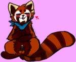  &lt;3 balls bandanna black_penis blush comzi cum eyes_closed fluffy fur male mammal penis red_panda simple_background small_penis smile solo tongue tongue_out 