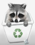  1other absurdres arrow_(symbol) highres in_trash_can looking_at_viewer original raccoon recycle_bin recycling_symbol solo tagme trash_can trashpanda_11b 