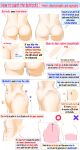  ass english_commentary english_text guide highres how_to multiple_views navel nude original simple_background white_background yoshimura_takuya 