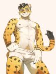 5_fingers anthro black_hair cheetah clothed clothing eyewear felid feline fingers fur glasses hair hi_res looking_at_viewer male mammal panzica partially_clothed pubes solo spots spotted_body spotted_fur tail underwear underwear_down yellow_body yellow_fur yuuko891