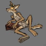  2018 3_toes animal_genitalia animal_penis anthro bulge canine canine_penis clothed clothing coyote grey_background hat mammal orf penis penis_outline reclining shirt simple_background solo tank_top tenting toes underwear yellow_sclera 