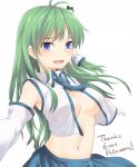  :d ascot bare_shoulders blue_eyes blue_neckwear blue_skirt blush breasts commentary_request detached_sleeves frog_hair_ornament green_hair hair_ornament hair_tubes highres kochiya_sanae long_hair long_sleeves looking_at_viewer medium_breasts miyo_(ranthath) navel open_mouth outstretched_arms shirt simple_background skirt smile snake_hair_ornament solo stomach sweat thank_you touhou upper_body white_background white_shirt wide_sleeves wing_collar 