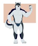 anthro band-aid band-aid_on_face band-aid_on_nose bandage beastsauc3 biceps bulge canid canine canis cellphone clothed clothing colby_(husky) domestic_dog electronics hi_res husky jockstrap jockstrap_only male mammal muscular muscular_anthro muscular_male nordic_sled_dog one_eye_closed pecs phone simple_background smartphone smile spitz standing tail topless underwear underwear_only wink