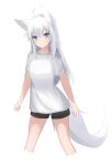  1girl absurdres animal_ear_fluff animal_ears black_shorts breasts closed_mouth commentary_request cropped_legs fox_ears fox_girl fox_tail hair_between_eyes highres kuronagi_(mitora_uwu) long_hair looking_at_viewer original purple_eyes shirt short_shorts short_sleeves shorts simple_background small_breasts solo tail very_long_hair white_background white_hair white_shirt 