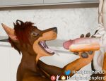 3d_(artwork) anthro ashley_(thinecrawler) canid canine canis cropped_ears digital_media_(artwork) dobermann dobermann_(untied_verbeger) domestic_dog duo female food food_fetish food_play genitals hair hi_res honigkuchenpferd human humanoid_genitalia humanoid_penis kitchen mammal patreon_exclusive patreon_preview penis pinscher preview red_hair teeth tongue tongue_out