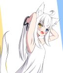  1girl :d absurdres animal_ear_fluff animal_ears armpits arms_behind_head arms_up bare_arms bare_shoulders black_ribbon blue_eyes blush commentary dress fang fox_ears fox_girl fox_tail hair_ribbon heterochromia highres kuronagi_(mitora_uwu) long_hair looking_at_viewer original ponytail ribbon sidelocks sleeveless sleeveless_dress smile solo symbol-only_commentary tail white_background white_dress white_hair yellow_eyes 