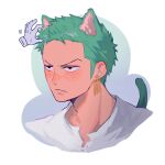  1boy animal_ears blush cat_boy cat_ears cat_tail disembodied_limb earrings frown green_hair highres jewelry light_frown looking_to_the_side male_focus one_piece roronoa_zoro shirt short_hair simple_background single_earring sweatdrop tail towne upper_body v-shaped_eyebrows white_background white_shirt 