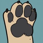 2024 african_wild_dog animated black_pawpads canid canine feet feral feral_transformation foot_fetish foot_focus foot_transformation fur human_to_feral male mammal mid_transformation paint_(razim) paint_(recallers_of_the_lost) pawpad_growth pawpads paws quadruped recallers_of_the_lost_pathfinder shrinking size_transformation species_transformation tan_body tan_fur toes transformation transformation_sequence wicked_whiskers zgf_art
