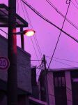  building city clear_sky day dusk film_grain from_below highres lamppost no_humans original outdoors poupee_(capo_sung) power_lines purple_sky sky speed_limit_sign utility_pole window 